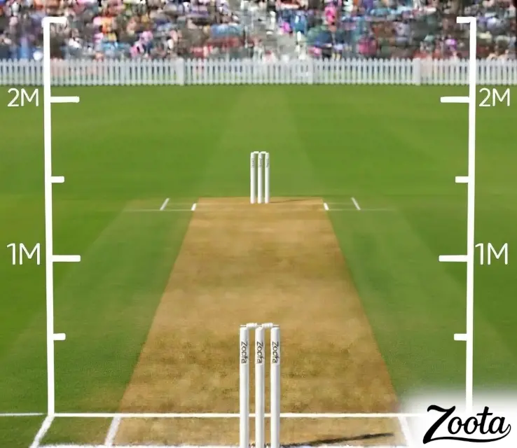 For Coaching cricket analysis visual