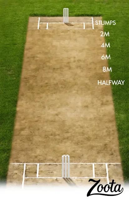For Matches cricket analysis visual